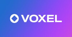 Voxel