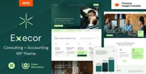 Execor 20 – Accounting and Management Consulting WordPress Theme