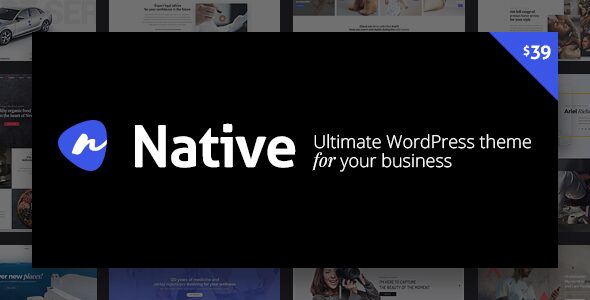 Native 1.7.14 - Stylish Multi-Purpose Creative WP Theme